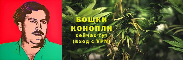 прущая мука Бородино