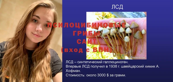 прущая мука Бородино