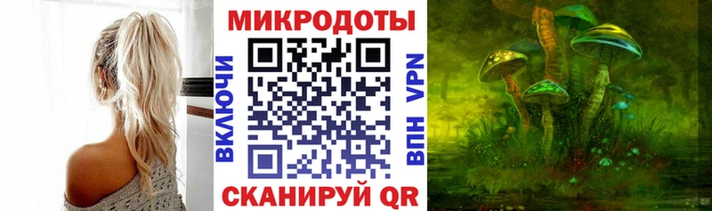 хочу наркоту  Дмитров  Псилоцибиновые грибы Cubensis 